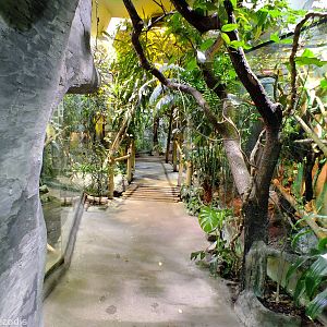 Tanks for Tropical Reptiles in Cold-blooded Animals Pavilion
