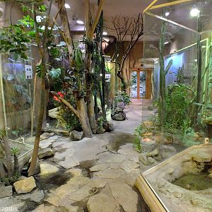 Tanks for Desert Reptiles in Cold-blooded Animals Pavilion