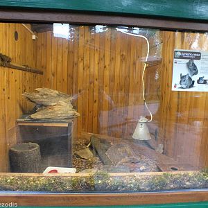Chinchilla Enclosure