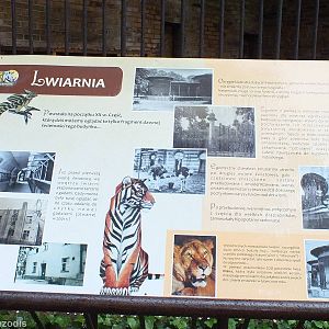Historical Sign Big Cats