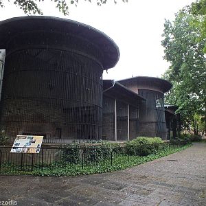 Disused Big Cats Enclosures