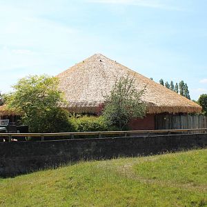 Completed Rhino house roof - 10 June 2015