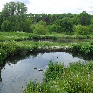 Best Crane Enclosure?