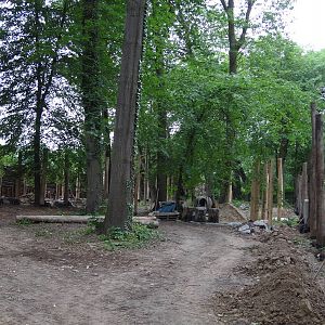 Start of construction of small cats exhibits