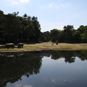 Main Savannah Paddock