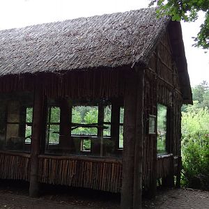 Red Ruffed Lemur house