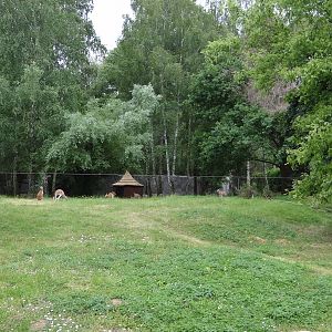 Australian enclosure