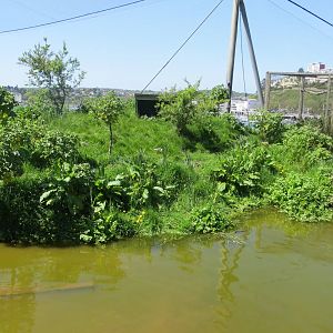 Wader Enclosure 160515