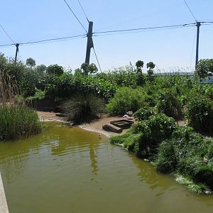 Wader Enclosure 160515