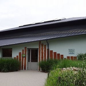 Second Giraffe house