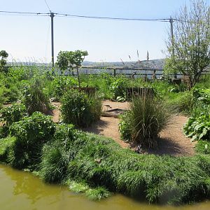 Wader Enclosure 160515