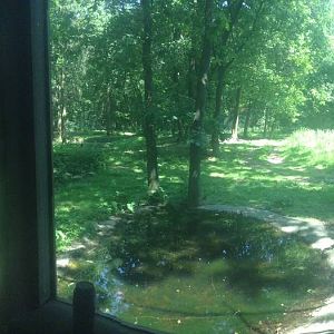 Part Of African Lion Enclosure