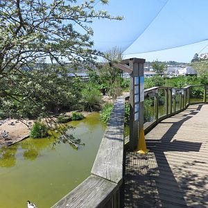 Wader Enclosure 160515