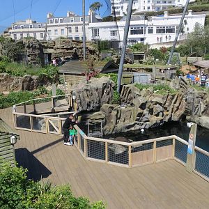 View over Living Coasts 160515