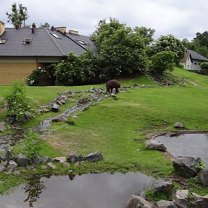 Third and biggest South America paddock