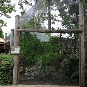 Coati enclosure and house