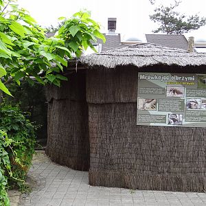 Giant Anteater house