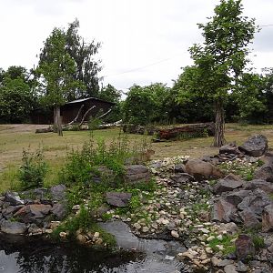 South American paddock