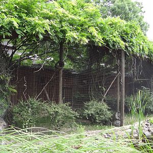 Marmosets exhibits