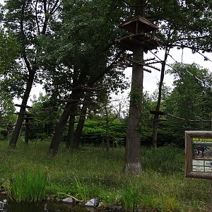 Maned Wolf and Black Howler enclosure