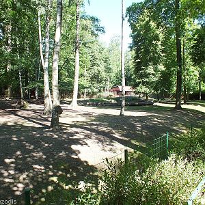 Paddock for Vietnamese Sika Deer