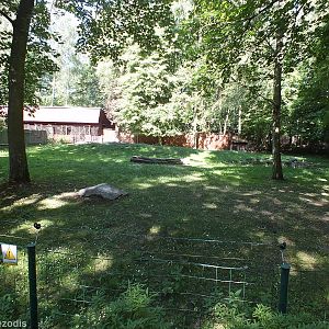Enclosure for Marabou Storks
