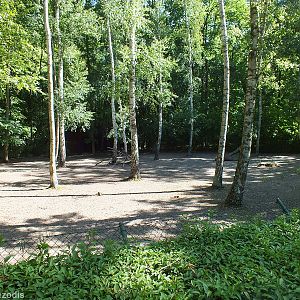 Enclosure for Bawean Deer