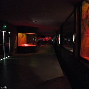 View of the Nocturnal House