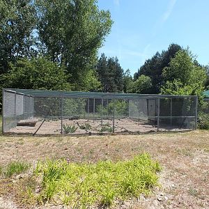 European Souslik Enclosure