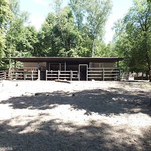 Stalls for Wood Bison