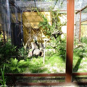 Genet Enclosure