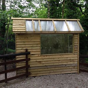 New Native Species Exhibit