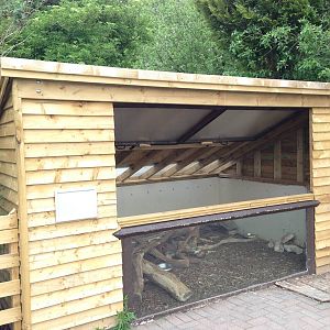 Refurbished Degu Enclosure