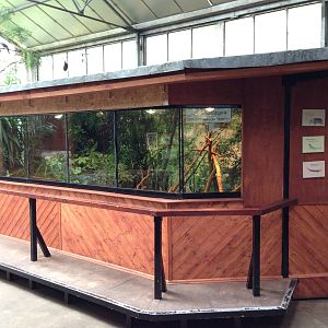 Reptile Amphitheatre