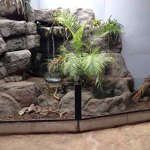 Long-nosed potorroo exhibit