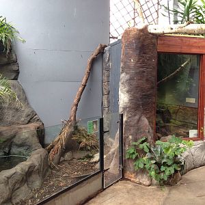 Tropical Hall Exhibits