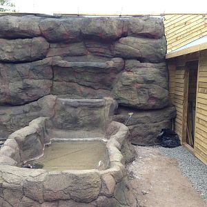 New outdoor exhibit under construction