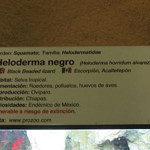 sign chapultepec zoo