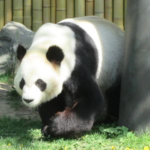 Not asleep for once!