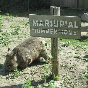 Enjoying the weather