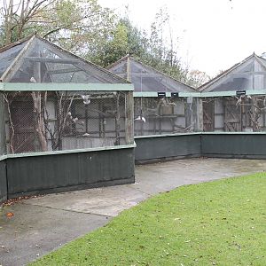 aviaries, Seafield Wildlife Park