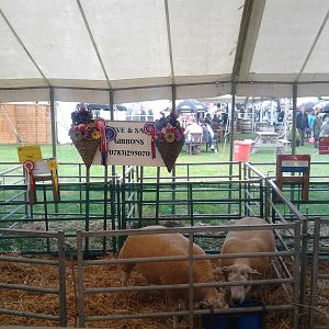 Misleading signage - Royal Three Counties Show