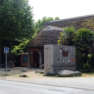 an okapi traveling crate