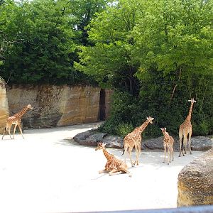 view from the restaurant