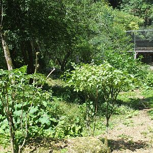 looking back to viewing window.