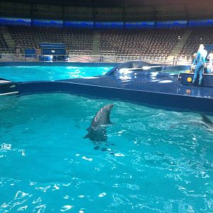 Dolphin Stadium (after the show)