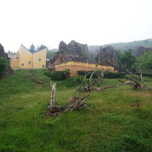 Gorilla Enclosure at Cabarceno, 11/06/15