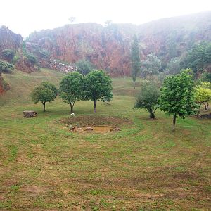 Tiger Enclosure at Cabarceno, 11/06/15