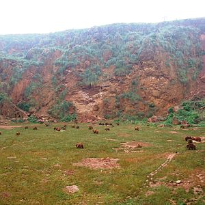 Brown Bear Enclosure at Cabarceno, 11/06/15