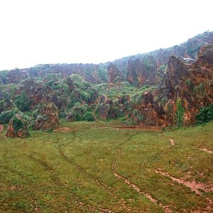Brown Bear Enclosure at Cabarceno, 11/06/15